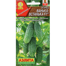 ВАНЬКА-ВСТАНЬКА