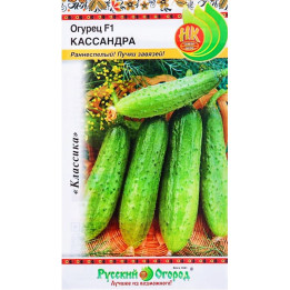 КАССАНДРА