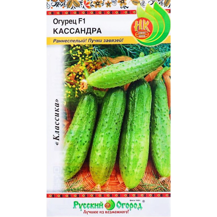 КАССАНДРА