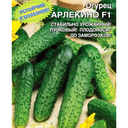 АРЛЕКИНО