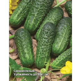 КУХАРКА