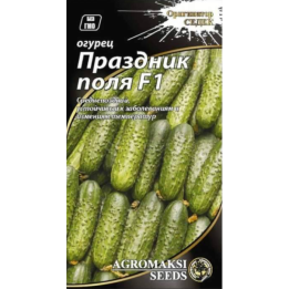 ПРАЗДНИК ПОЛЯ