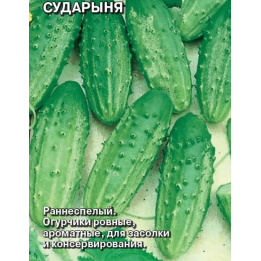 СУДАРЫНЯ