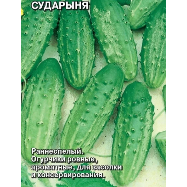 СУДАРЫНЯ