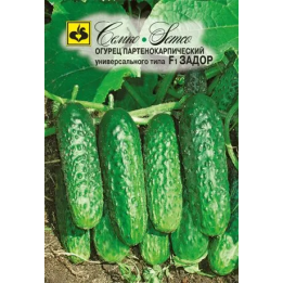 ЗАДОР