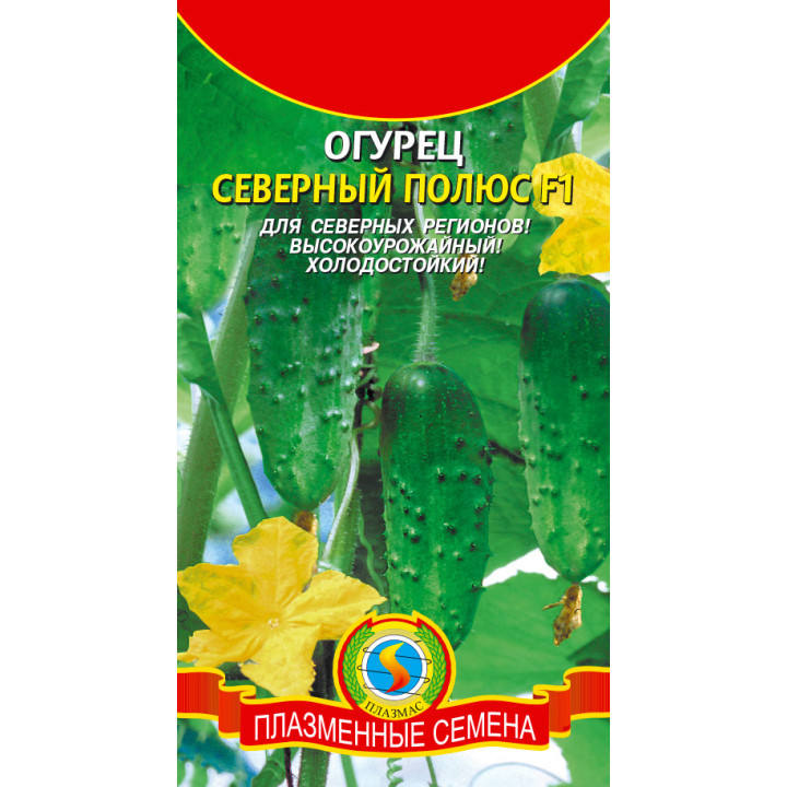 СЕВЕРНЫЙ ПОЛЮС