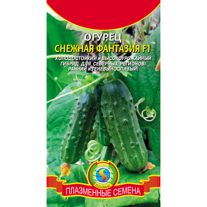 СНЕЖНАЯ ФАНТАЗИЯ