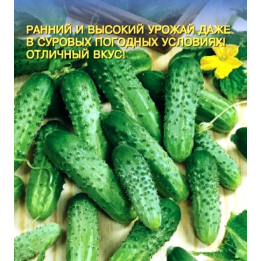 ГОМЕР