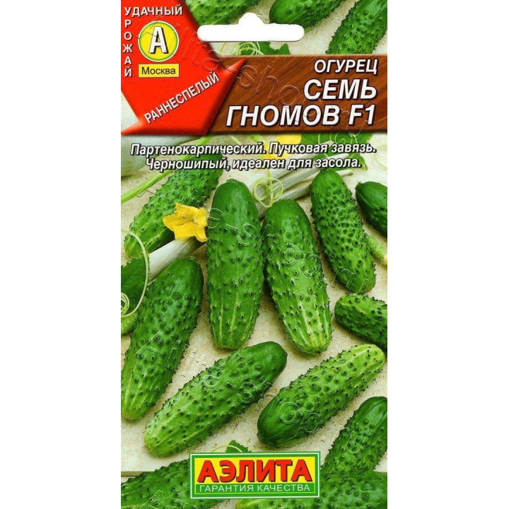 СЕМЬ ГНОМОВ