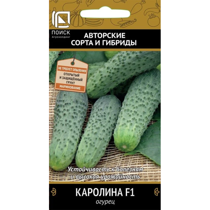 КАРОЛИНА