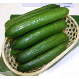 КАФКАС