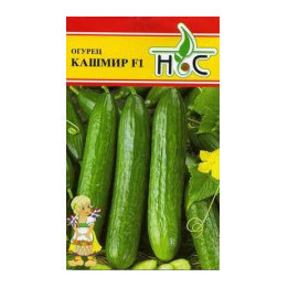КАШМИР