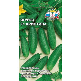 КРИСТИНА