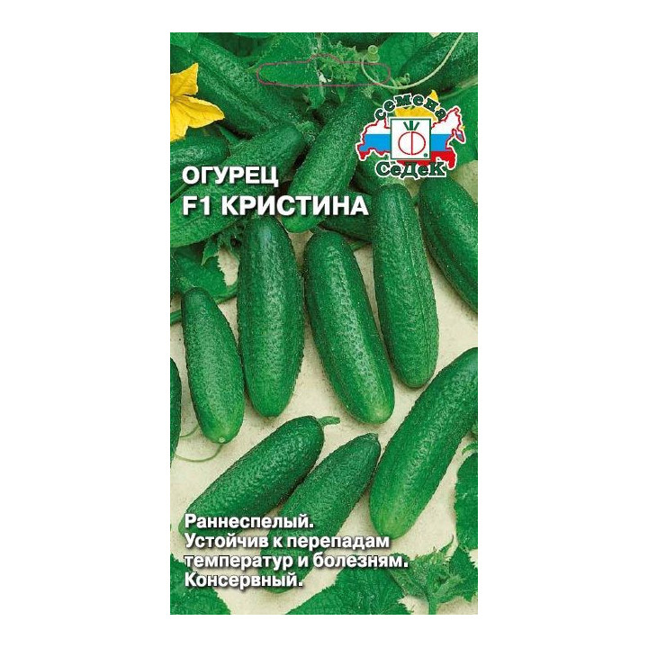 КРИСТИНА