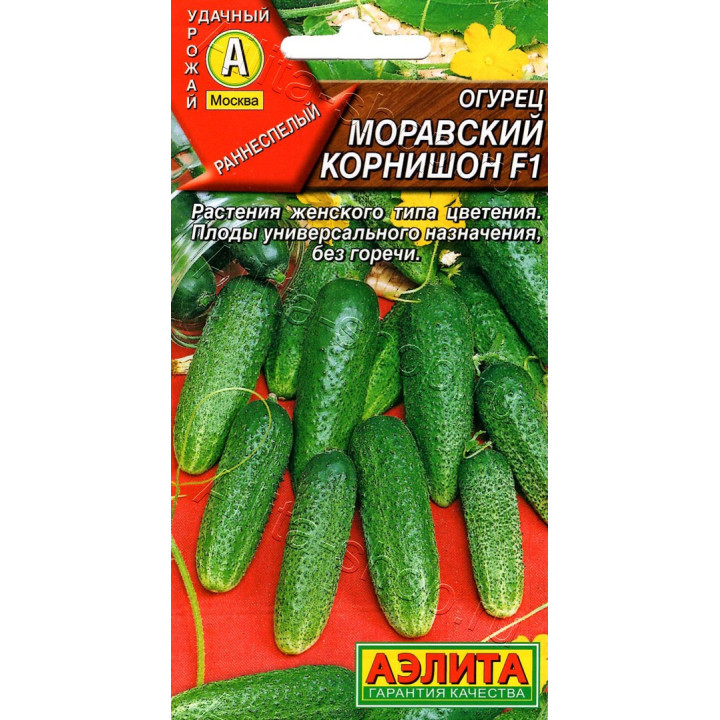 МОСКОВСКИЙ КОРНИШОН