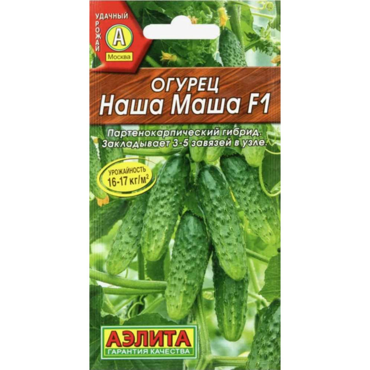 НАША МАША