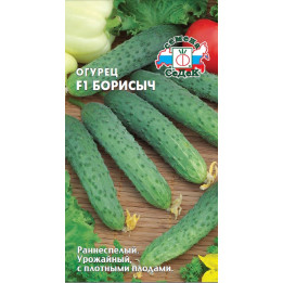 БОРИСЫЧ