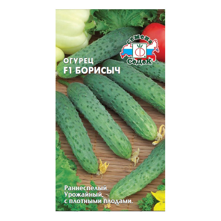БОРИСЫЧ