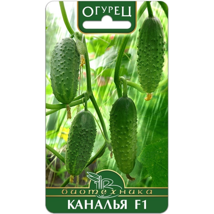 КАНАЛЬЯ