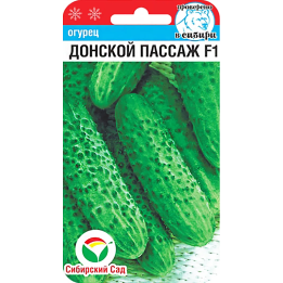 ДОНСКОЙ ПАССАЖ