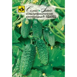 УДАЛЕЦ