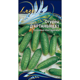 Д'АРТАНЬЯН