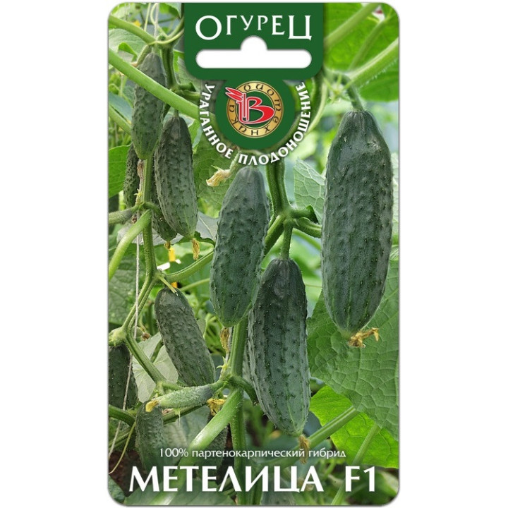 МЕТЕЛИЦА