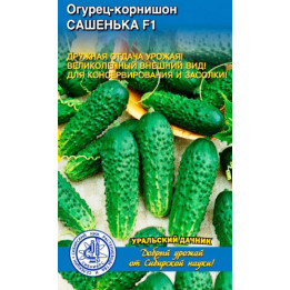 САШЕНЬКА