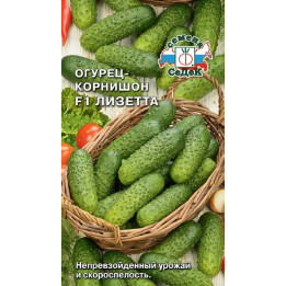 ЛИЗЕТТА