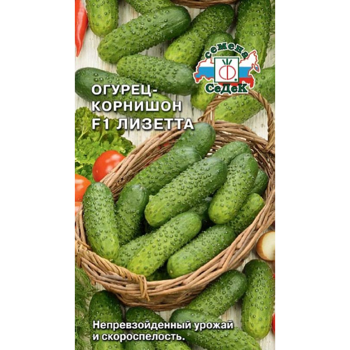 ЛИЗЕТТА