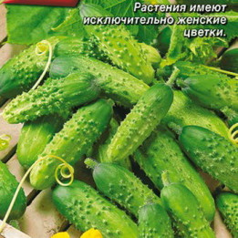 РАЗДОЛЬЕ