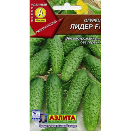 ЛИДЕР
