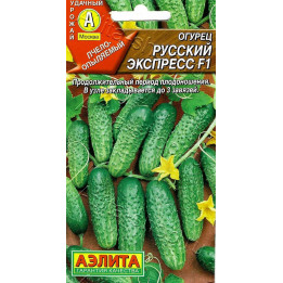 РУССКИЙ ЭКСПРЕСС