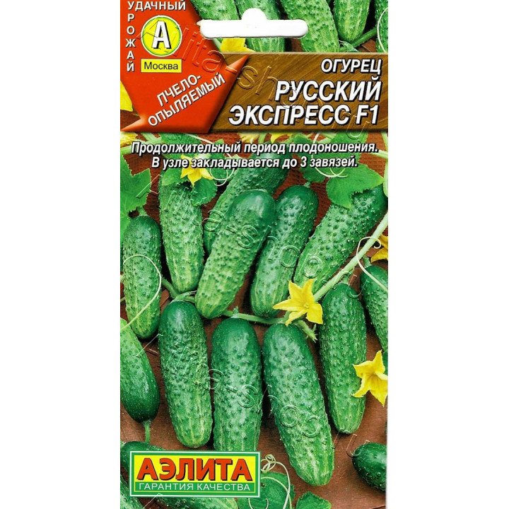 РУССКИЙ ЭКСПРЕСС