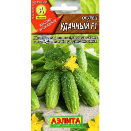 УДАЧНЫЙ