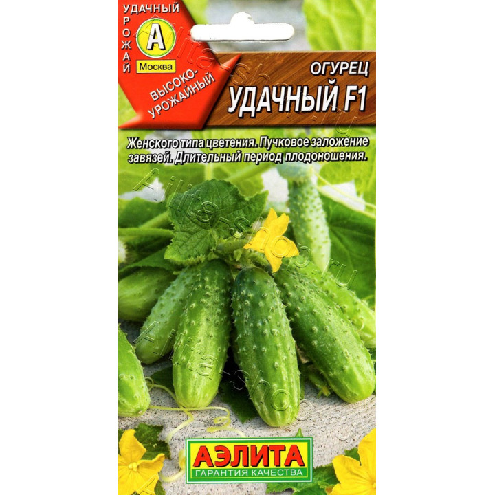 УДАЧНЫЙ