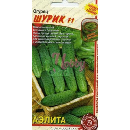 ШУРИК