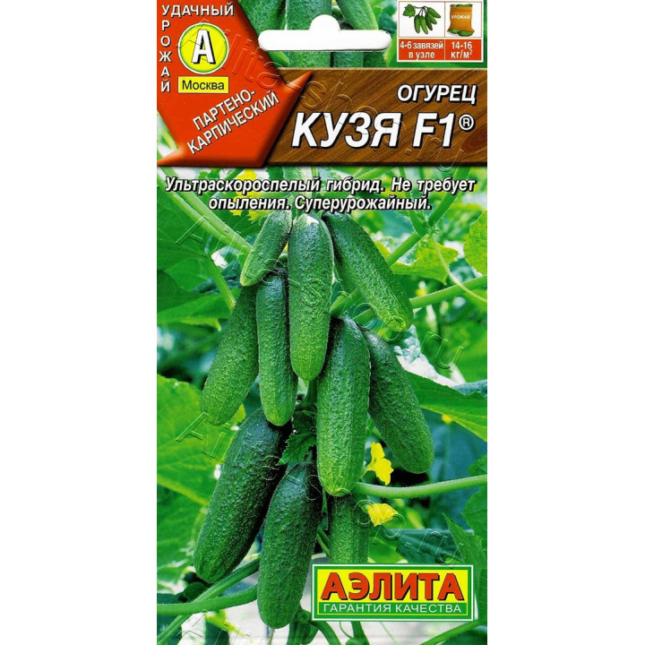 КУЗЯ