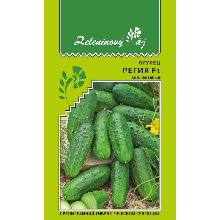 РЕГИЯ