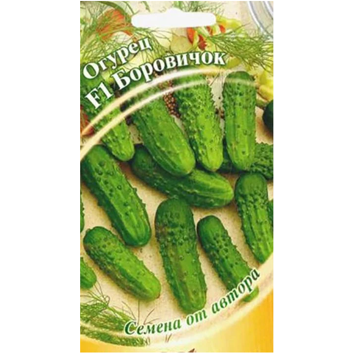 БОРОВИЧОК