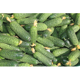 ЛУХОВИЦКИЙ