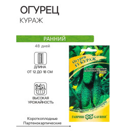 АЛЬТАИР