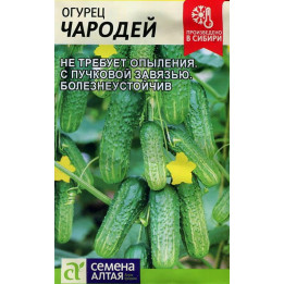 ЧАРОДЕЙ