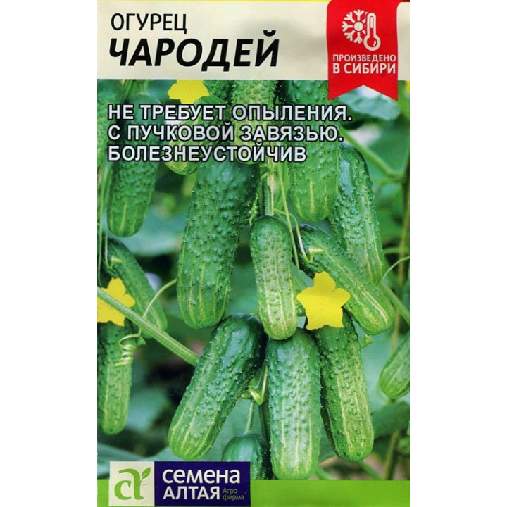 ЧАРОДЕЙ