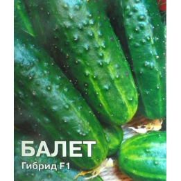 БАЛЕТ
