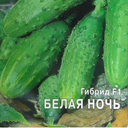 БЕЛАЯ НОЧЬ