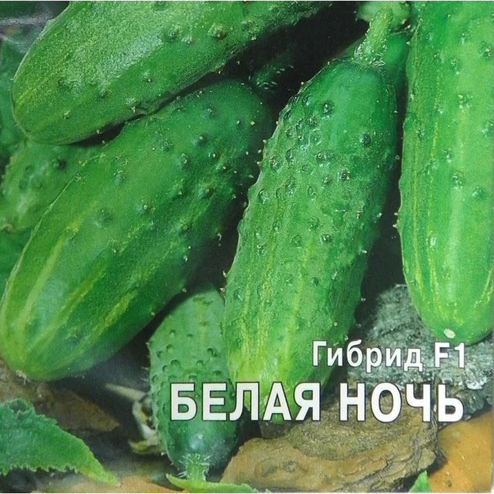 БЕЛАЯ НОЧЬ