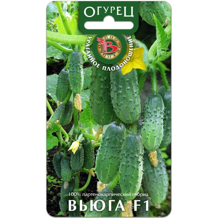 ВЬЮГА