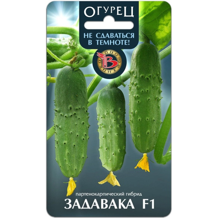 ЗАДАВАКА
