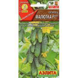 МАЛЮТКА